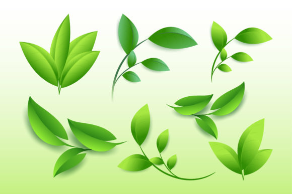 Natural Green Leaves Element: A Versatile Design Resource