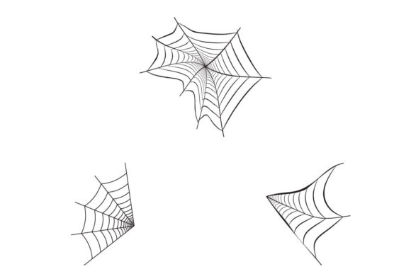 Spider Web Funny Vector Collection